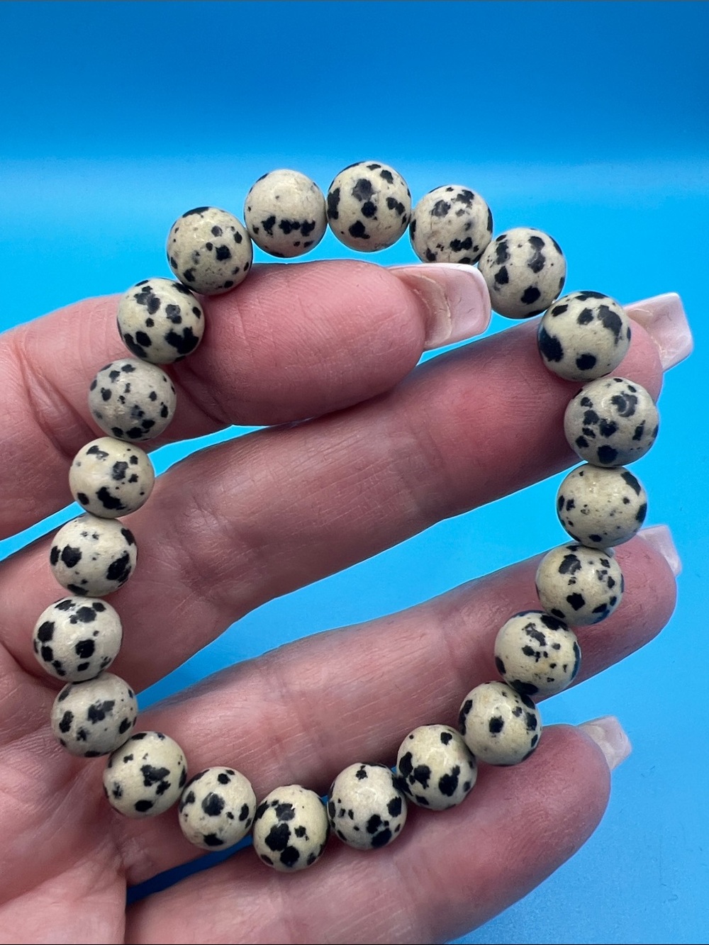 Dalmatian Jasper Stretch Bracelet - Black & Cream Beads